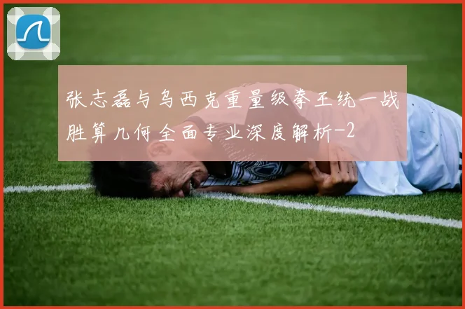 张志磊与乌西克重量级拳王统一战胜算几何全面专业深度解析